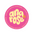 ANA ROSE logo