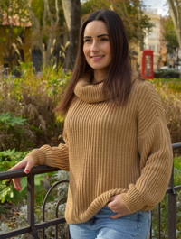 Pull col roulé camel