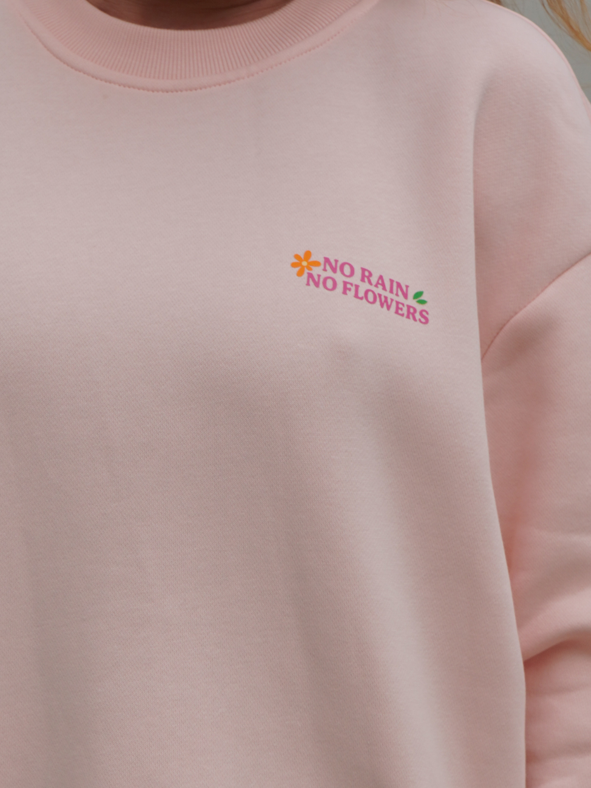 Sweat No rain, No flowers rose