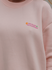 Sweat No rain, No flowers rose