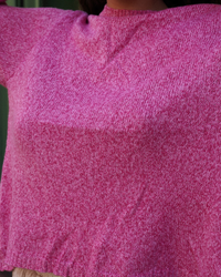 Pull dos nu rose