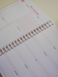 Planner anarose x la douce papaterie