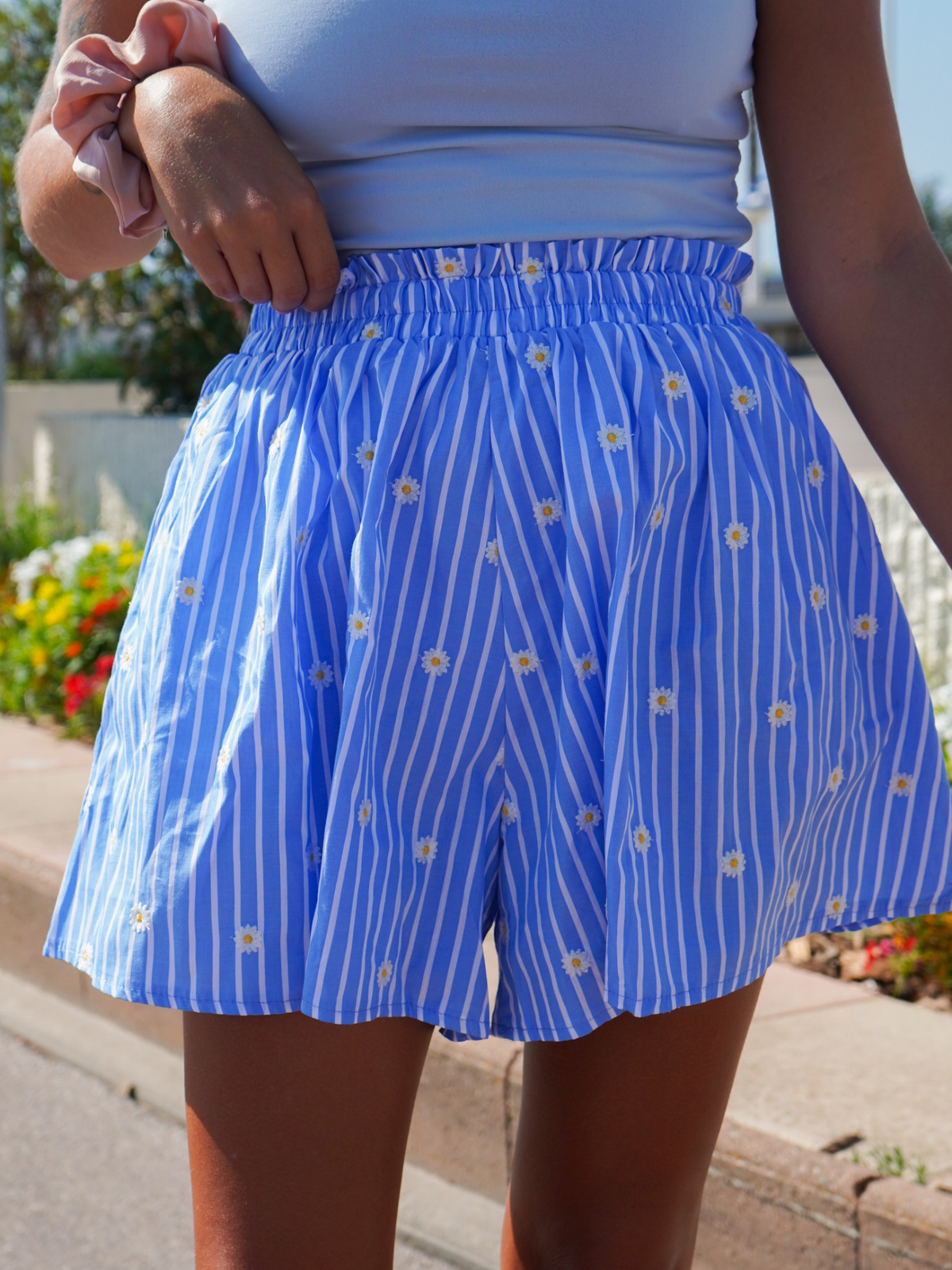 Short marguerites